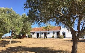 Casas Na Vinha - Monte Da Casteleja, Wine Estate - Eco Turismo Rural